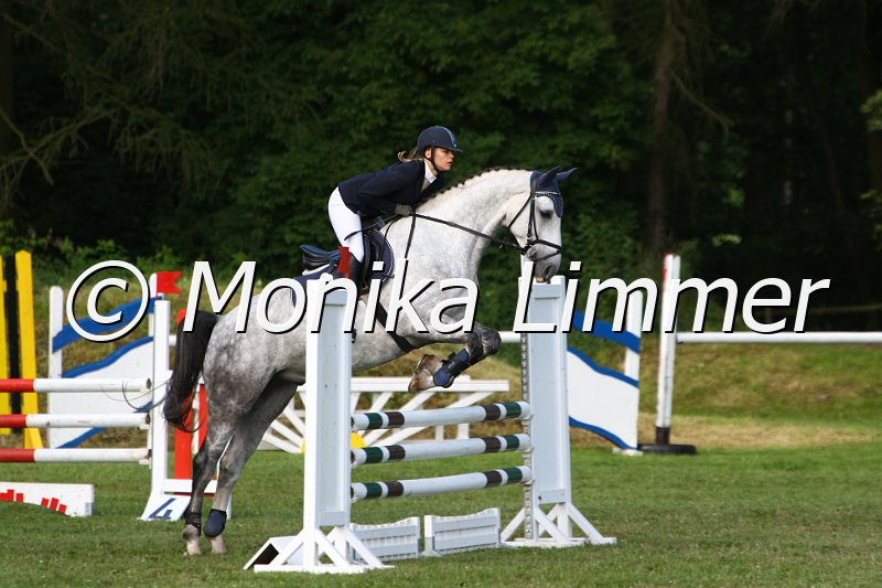 007L8822_Diamond Dancer_Springpferde_Axx.JPG